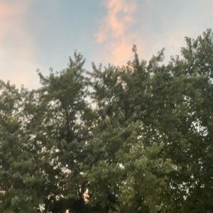 Meet your Posher, Kylynn